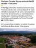 Mortágua Florestal decorre entre os dias 29 de maio e 01 de Junho 