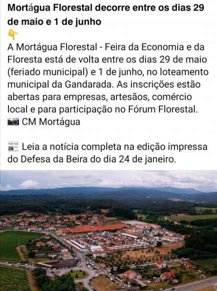 Mort&aacute;gua Florestal decorre entre os dias 29 de maio e 01 de Junho 