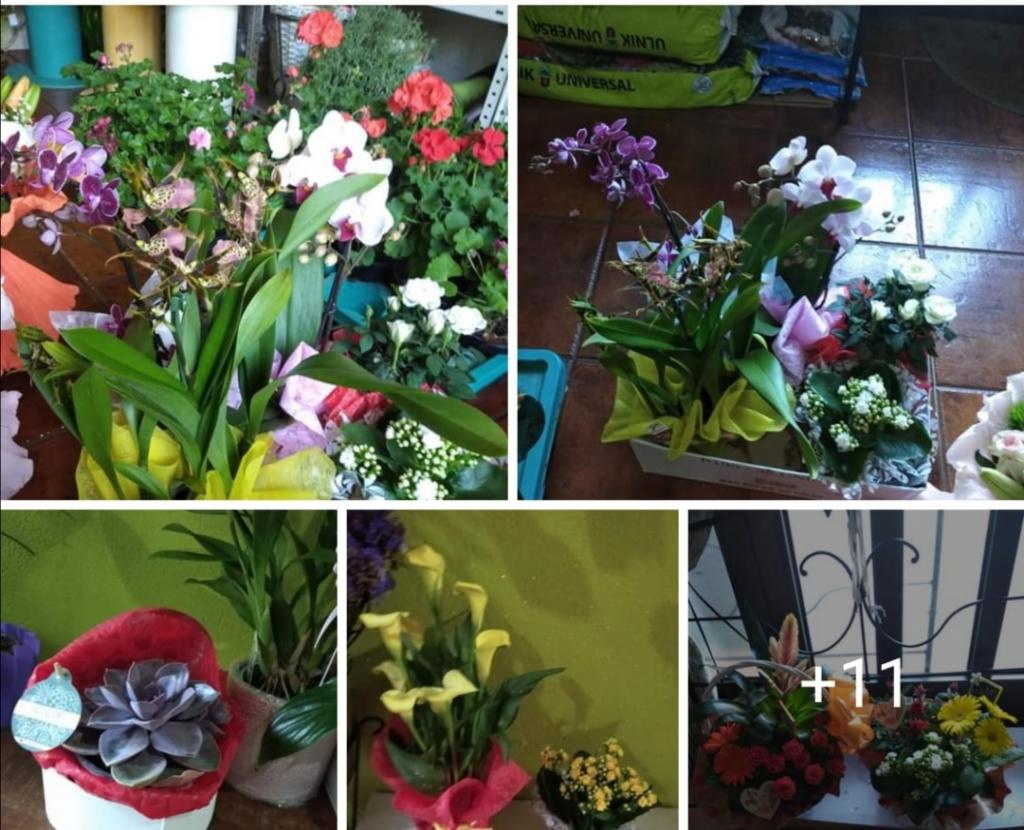 No Cantinho das Flores