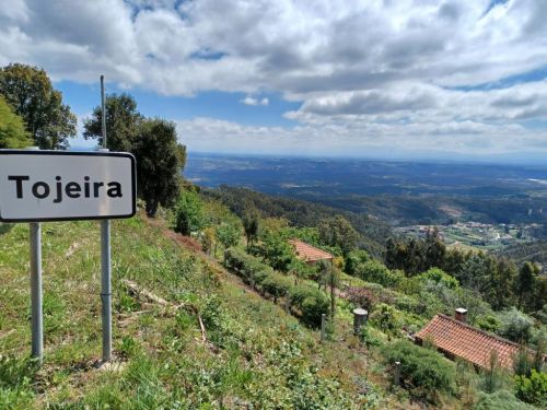 Tojeira 