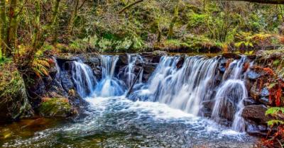 Percurso Pedestre da Fraga 
